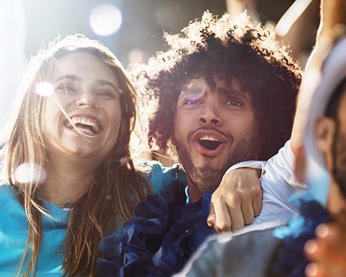 Sports fans embrace and cheer at a game